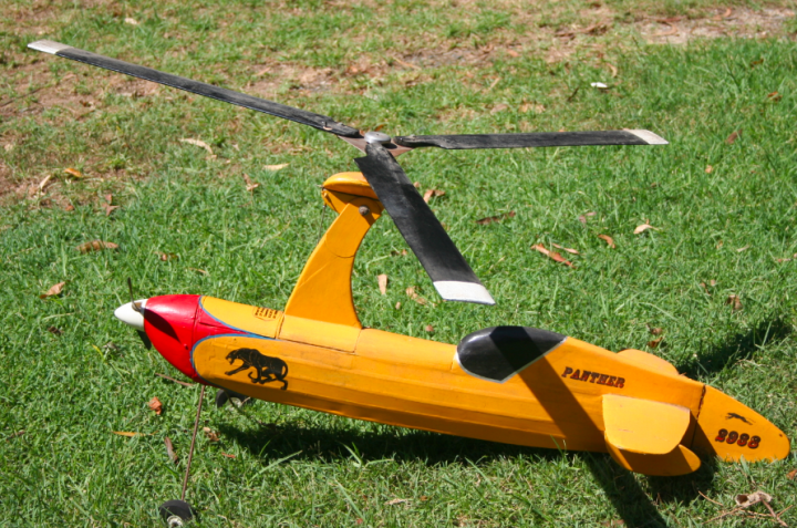 Panther Autogyro 1 